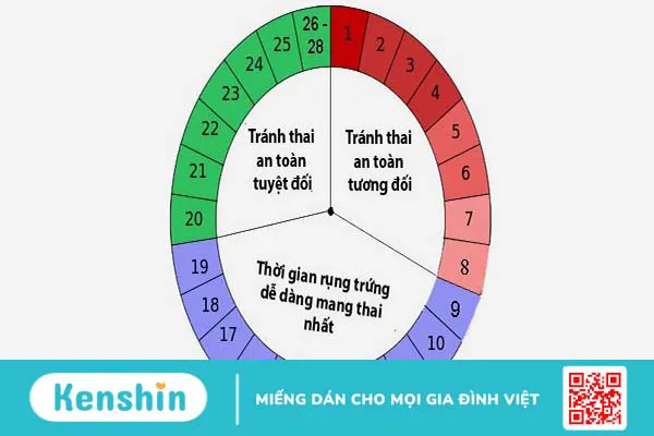 Các biện pháp tránh thai an toàn và hiệu quả nhất hiện nay