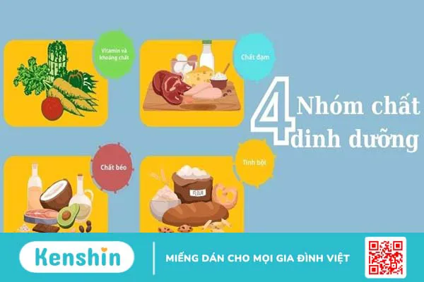 Các cách phòng chống dịch bệnh mùa bão lụt, mưa lũ bạn nên biết!