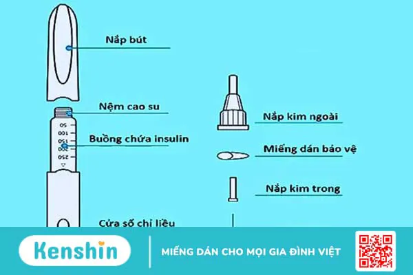 Các loại bút tiêm insulin thường dùng, hướng dẫn lựa chọn và cách dùng