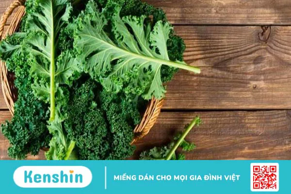 Các loại thực phẩm giàu canxi phù hợp cho người ăn chay