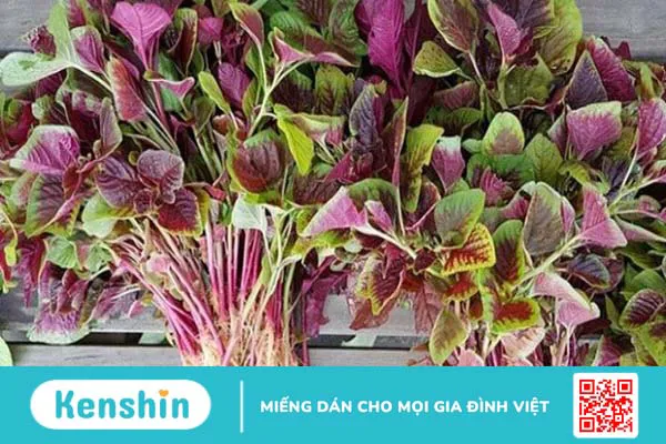 Các loại thực phẩm giúp xương chắc khỏe