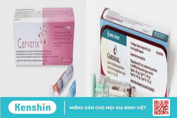 Các loại vaccine HPV? Độ tuổi, đối tượng tiêm phòng vaccine HPV