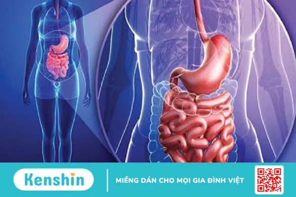 Các nguyên nhân gây tiêu chảy kéo dài bạn cần biết