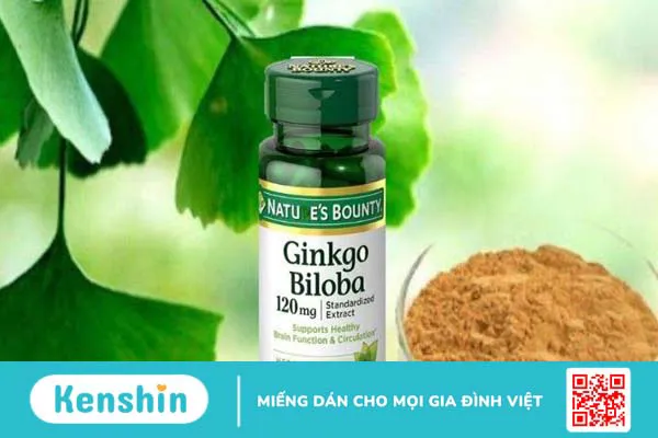 Các sản phẩm ginkgo biloba (cao bạch quả) tốt trên thị trường