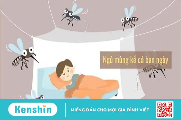 Các vật dụng cần chuẩn bị khi vào mùa sốt xuất huyết