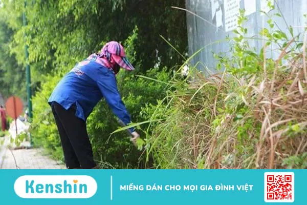 Các vật dụng cần chuẩn bị khi vào mùa sốt xuất huyết