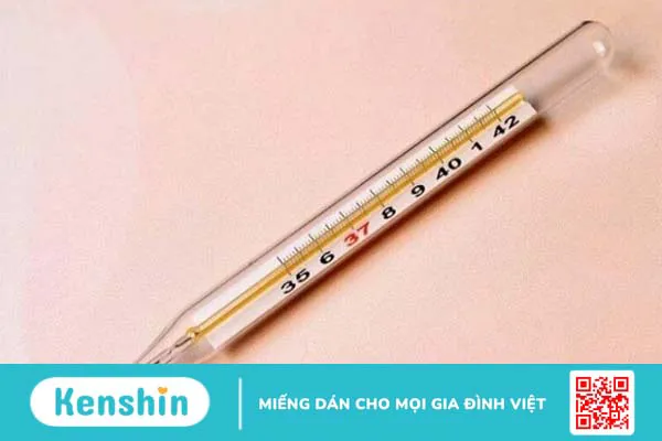 Các vật dụng cần chuẩn bị khi vào mùa sốt xuất huyết