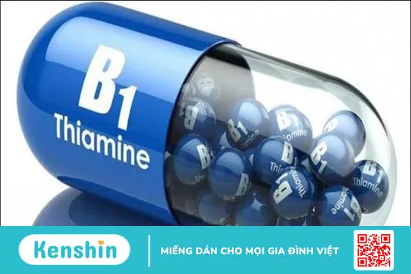 Các vitamin nhóm B và vai trò của vitamin B đối với cơ thể