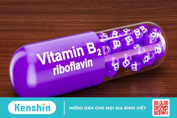 Các vitamin nhóm B và vai trò của vitamin B đối với cơ thể