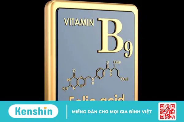 Các vitamin nhóm B và vai trò của vitamin B đối với cơ thể