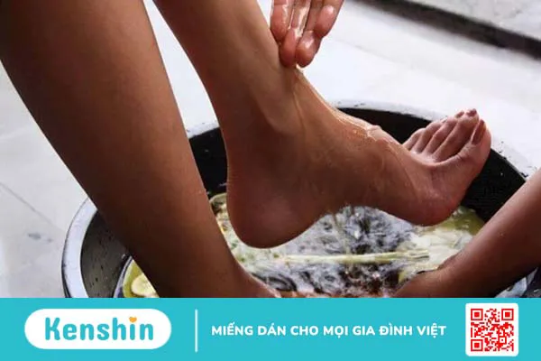 Cách chữa mồ hôi tay chân bằng lá lốt đơn giản, hiệu quả