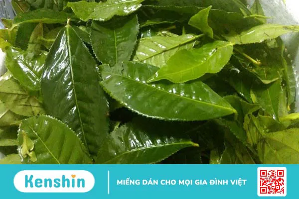 Cách chữa sâu răng tại nhà hiệu quả