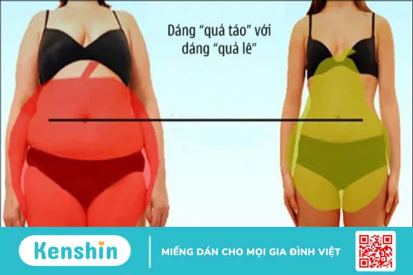 Cách đo và tính chỉ số BMI cho nam nữ người Việt chuẩn xác, chi tiết