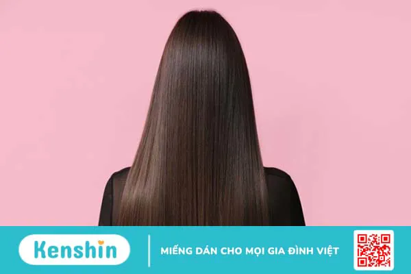 Cách gội đầu bằng bồ kết tại nhà giúp trị rụng tóc, nhanh dài