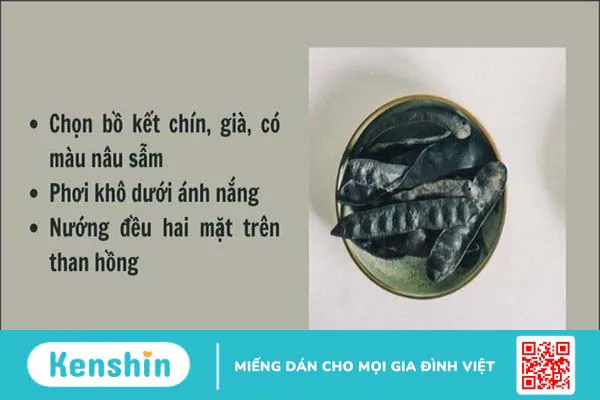 Cách gội đầu bằng bồ kết tại nhà giúp trị rụng tóc, nhanh dài