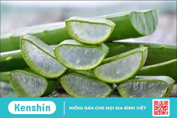 Cách làm gel nha đam dưỡng da tại nhà