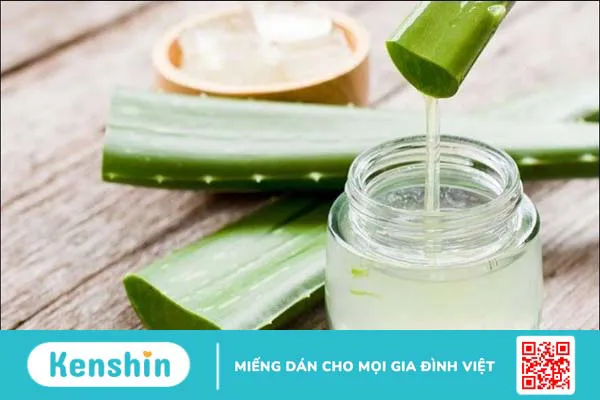 Cách làm gel nha đam dưỡng da tại nhà