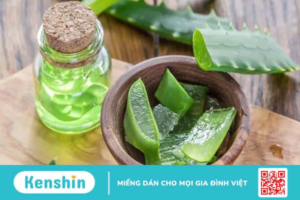 Cách làm gel nha đam dưỡng da tại nhà