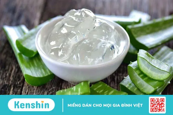 Cách làm gel nha đam dưỡng da tại nhà