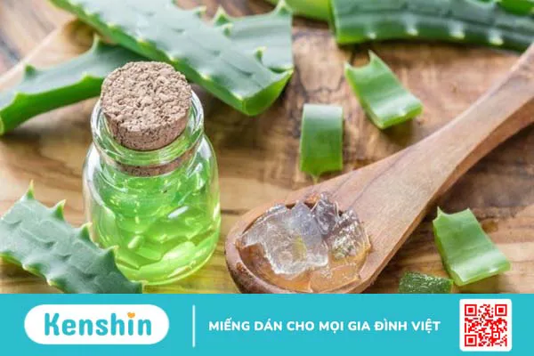 Cách làm gel nha đam dưỡng da tại nhà