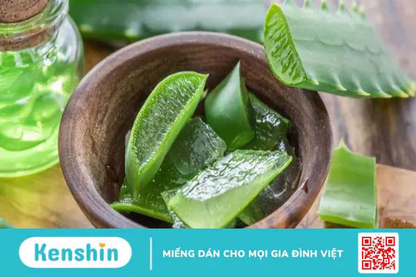 Cách làm gel nha đam dưỡng da tại nhà