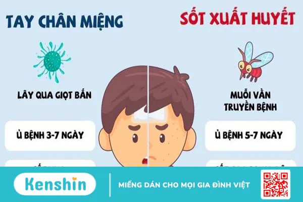 Cách phân biệt bệnh sốt xuất huyết và bệnh tay chân miệng tại nhà