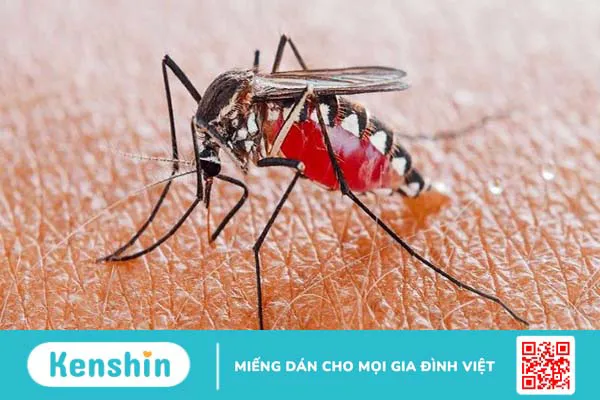 Cách phòng bệnh thường gặp vào mùa tựu trường và những lưu ý cho trẻ