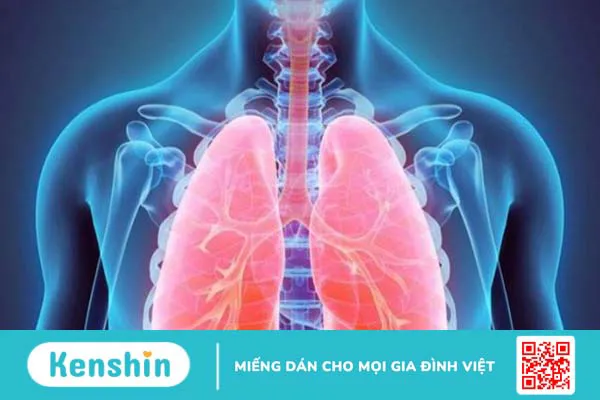 Cách phòng chống bệnh bạch hầu và biến chứng bạn nên biết