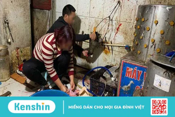 Cách phòng ngừa và xử trí ngộ độc thực phẩm mùa nắng