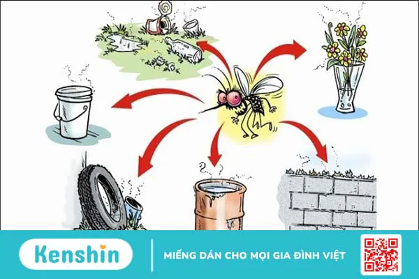 Cách phòng tránh bệnh sốt rét hiệu quả bạn và dễ thực hiện