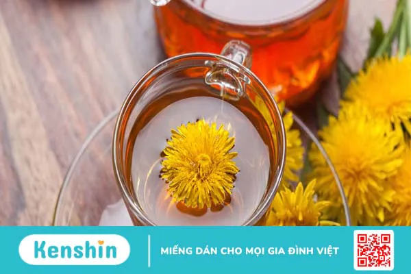 Cách sử dụng cây bồ công anh đúng cách an toàn và hiệu quả