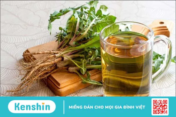 Cách sử dụng cây bồ công anh đúng cách an toàn và hiệu quả