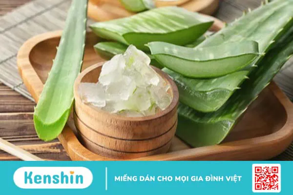 Cách sử dụng lô hội (aloe vera) cho da an toàn, giảm kích ứng