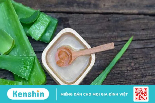 Cách sử dụng lô hội (aloe vera) cho da an toàn, giảm kích ứng