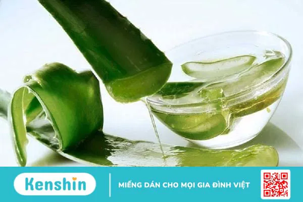 Cách sử dụng lô hội (aloe vera) cho da an toàn, giảm kích ứng