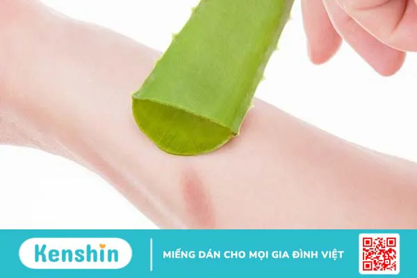 Cách sử dụng lô hội (aloe vera) cho da an toàn, giảm kích ứng