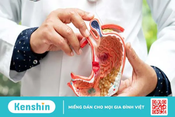 Cách sử dụng nghệ chữa đau dạ dày