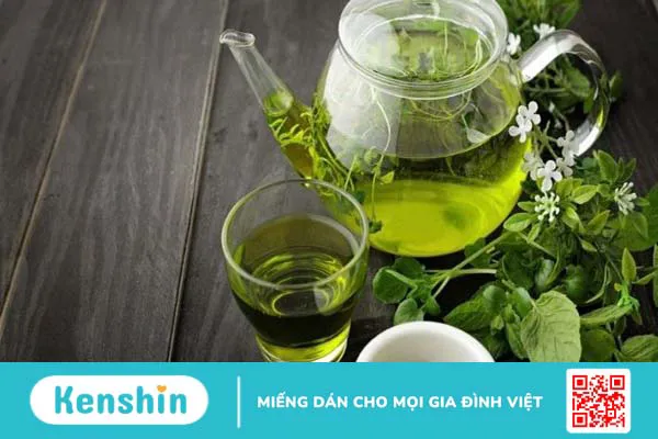 Cách sử dụng trà xanh tốt cho sức khỏe