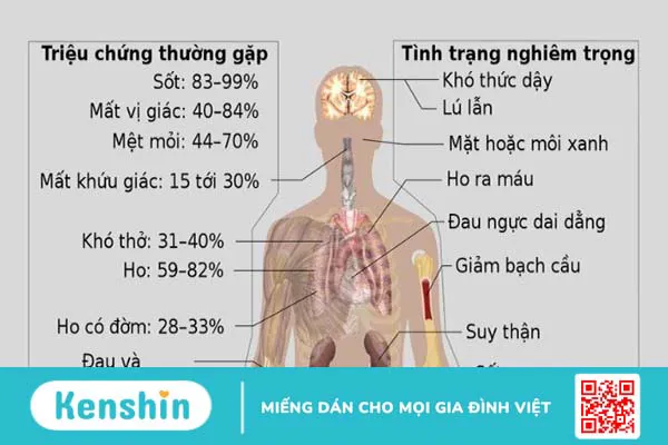 Cách thức COVID-19 tấn công mọi cơ quan nội tạng