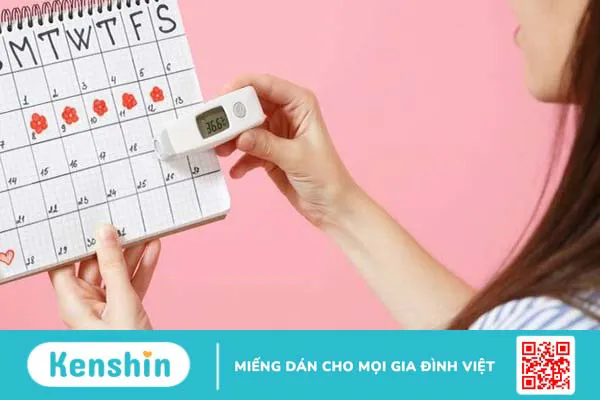 Cách tính canh ngày rụng trứng chính xác, an toàn cho chị em