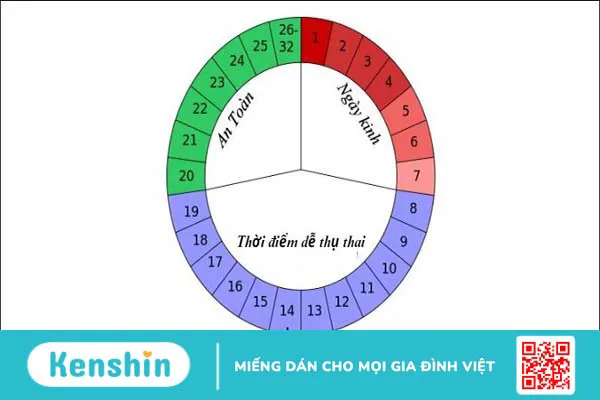 Cách tính ngày rụng trứng chính xác theo chu kỳ kinh nguyệt nên biết