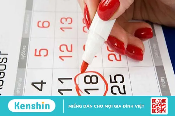 Cách tính ngày rụng trứng chính xác theo chu kỳ kinh nguyệt nên biết