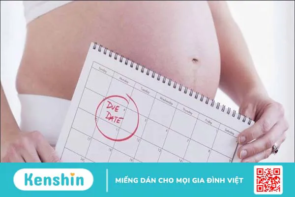 Cách tính ngày rụng trứng chính xác theo chu kỳ kinh nguyệt nên biết