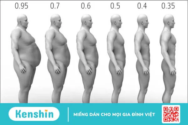 Cách tính tỉ lệ cơ thể chuẩn đơn giản giúp duy trì vóc dáng thon gọn