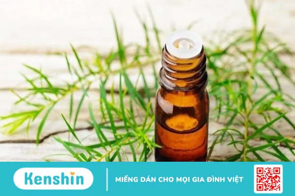 Cách trị hắc lào tại nhà đơn giản, an toàn giúp bạn nhanh khỏi bệnh