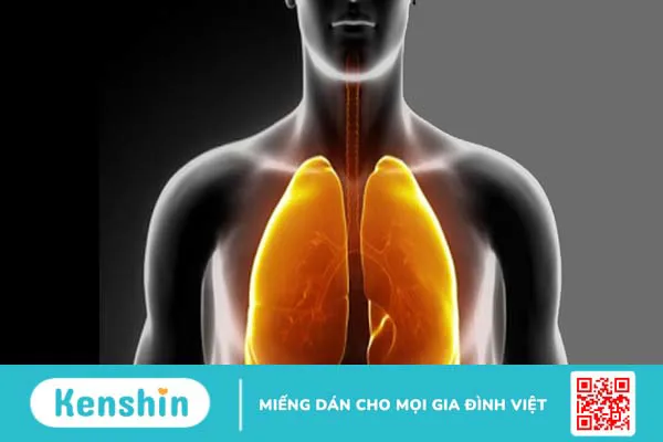 Cách xử lý khi đứng trước người bị suy hô hấp cấp