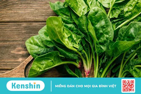 Cải bó xôi có tác dụng gì? 13 tác dụng của cải bó xôi có thể bạn chưa biết