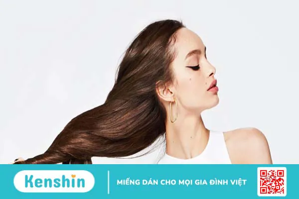 Cải bó xôi có tác dụng gì? 13 tác dụng của cải bó xôi có thể bạn chưa biết