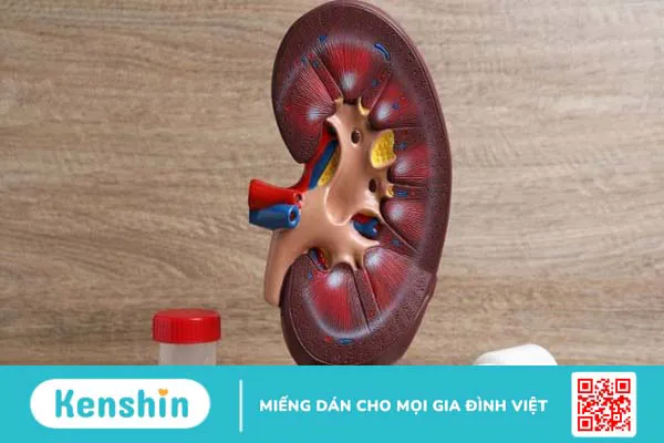 Cải bó xôi kỵ gì? 7 thực phẩm không nên kết hợp với cải bó xôi