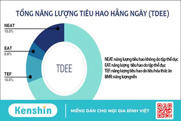 Calo là gì? Cách tính calo để giảm cân và tăng cân cho cả nam và nữ